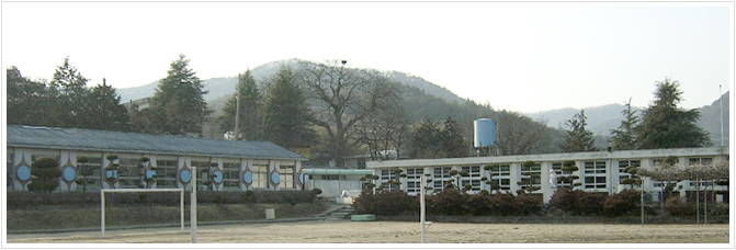 학교사진
